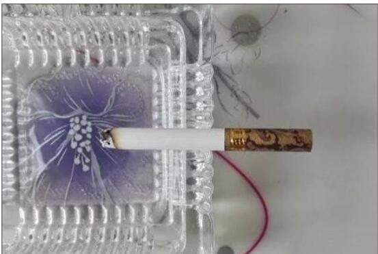 黃鶴樓漫天游，除了短貴沒別的毛病