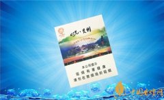 泰山雪茄多少錢一盒 泰山(時(shí)光貴州)雪茄型香煙價(jià)格20元/包